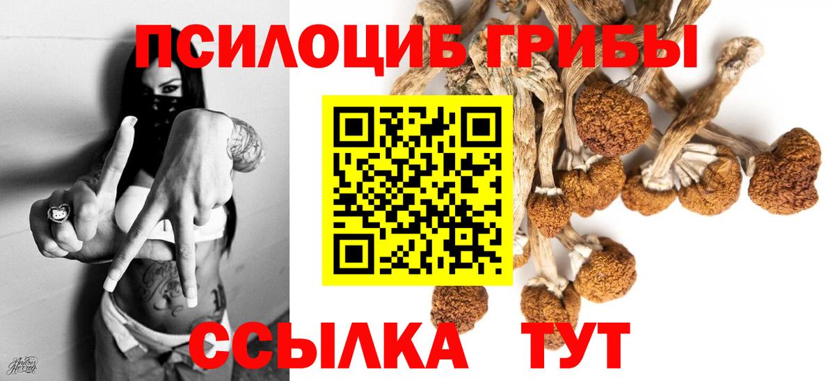 Анжеро-Судженск  даркнет сайт  Галлюциногенные грибы Cubensis  Вход с VPN  Галлюциногенные грибы GOLDEN TEACHER 
