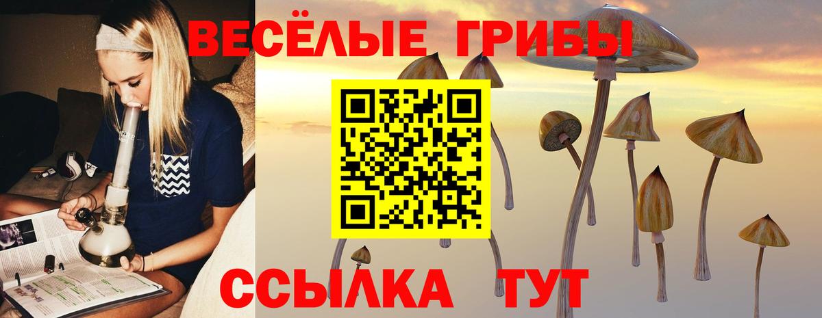 Галлюциногенные грибы MAGIC MUSHROOMS Анжеро-Судженск